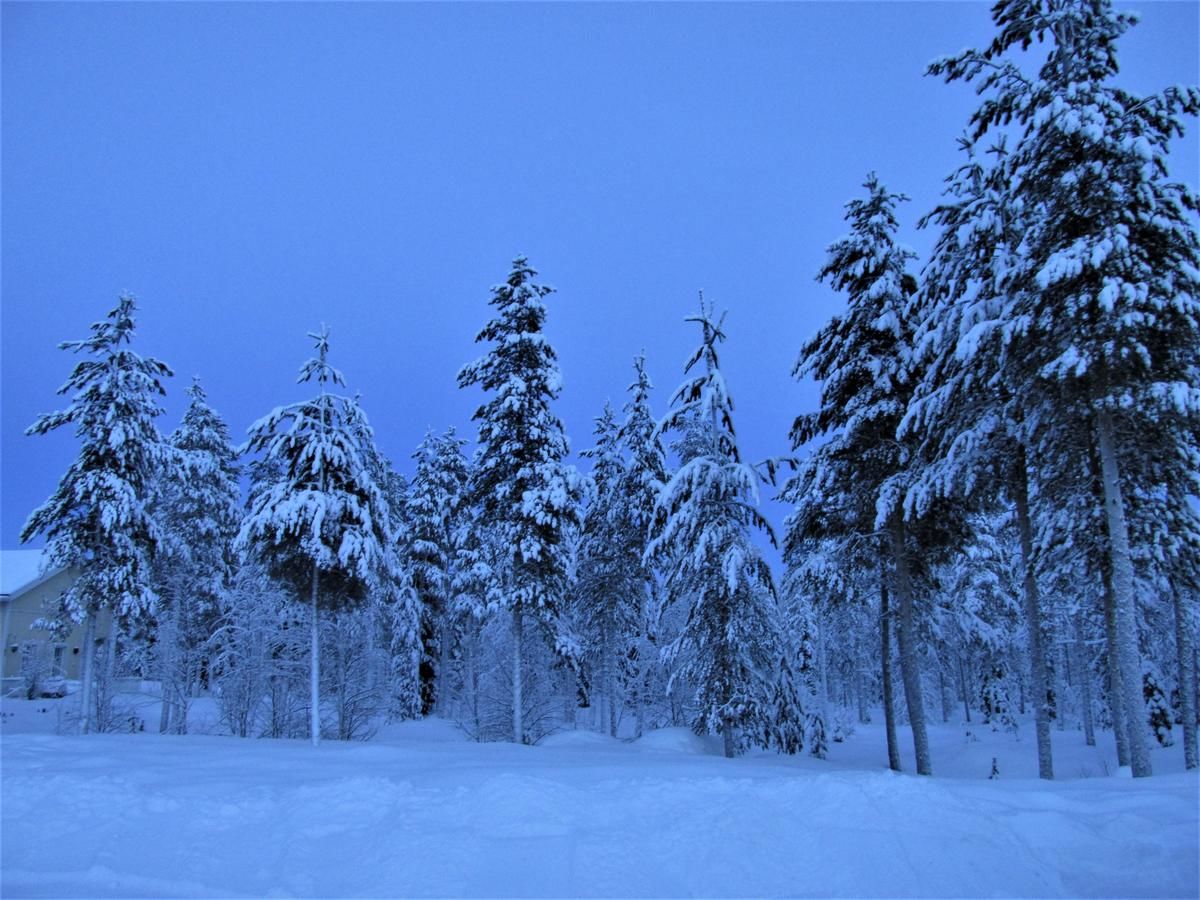 Загородные дома Scandinavian Dream Vikajarvi- Rovaniemi Викаярви-14