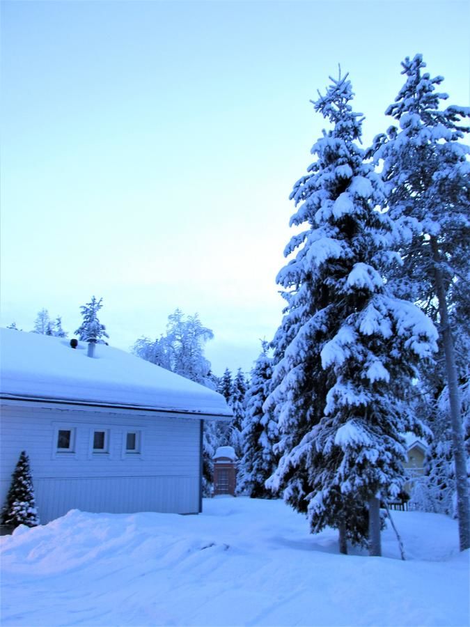 Загородные дома Scandinavian Dream Vikajarvi- Rovaniemi Викаярви-15