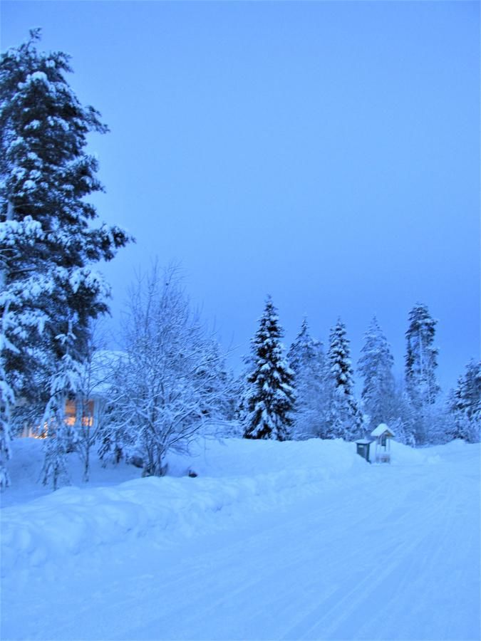 Загородные дома Scandinavian Dream Vikajarvi- Rovaniemi Викаярви-16