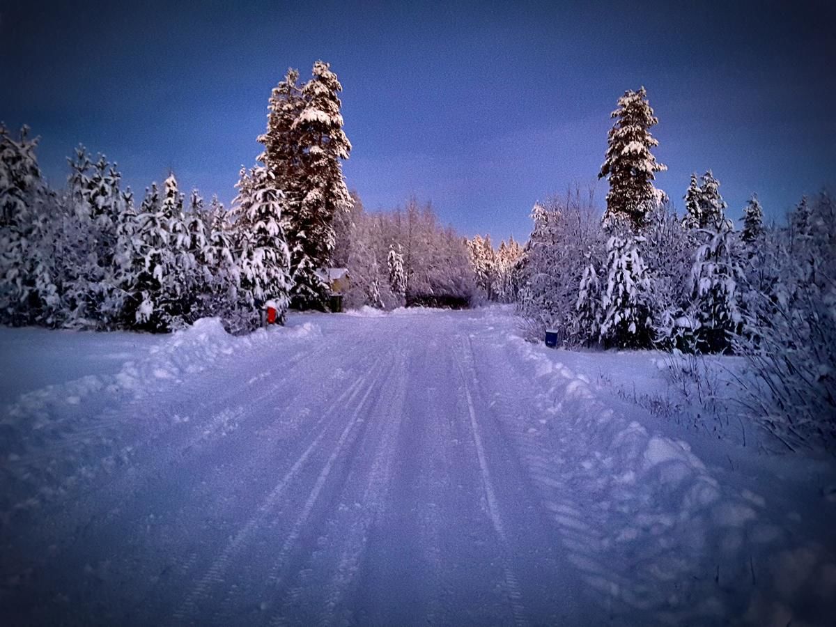 Загородные дома Scandinavian Dream Vikajarvi- Rovaniemi Викаярви-19