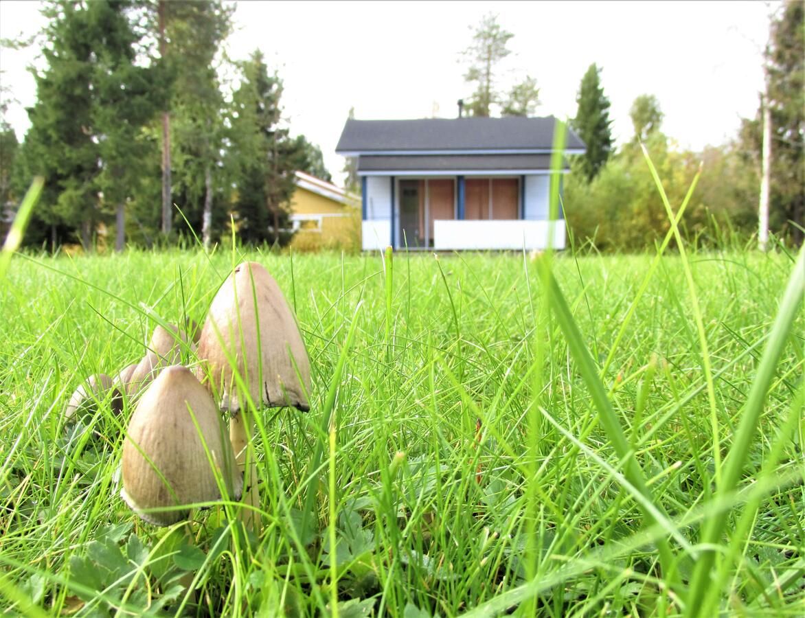 Загородные дома Scandinavian Dream Vikajarvi- Rovaniemi Викаярви-5
