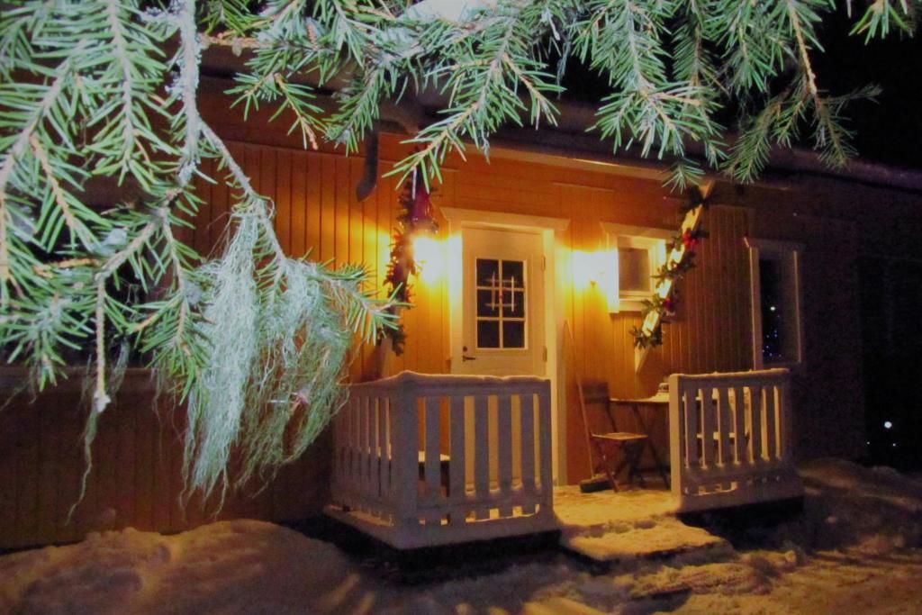 Загородные дома Scandinavian Dream Vikajarvi- Rovaniemi Викаярви