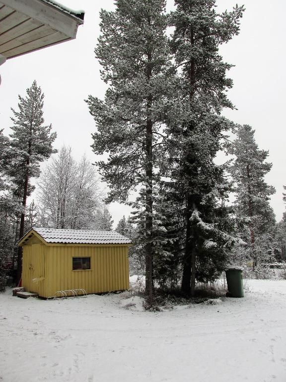 Загородные дома Scandinavian Dream Vikajarvi- Rovaniemi Викаярви