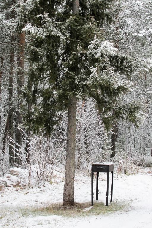 Загородные дома Scandinavian Dream Vikajarvi- Rovaniemi Викаярви