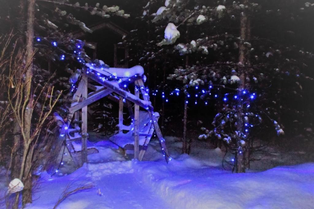 Загородные дома Scandinavian Dream Vikajarvi- Rovaniemi Викаярви